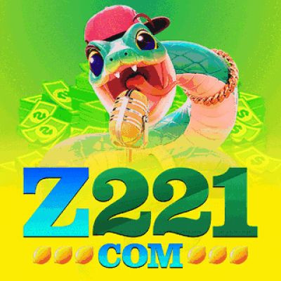 z221 z221